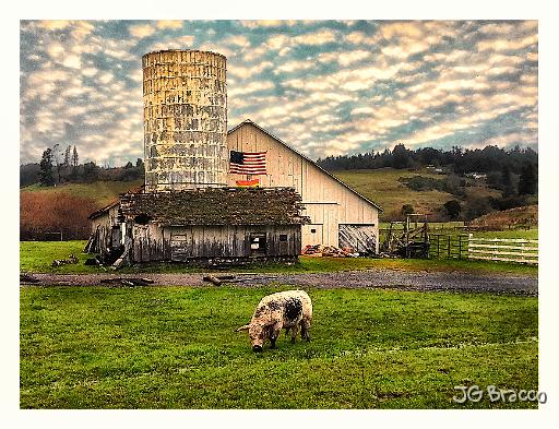 2017-01-21 15.45.23-v2.tif - Freestone Silo Barn